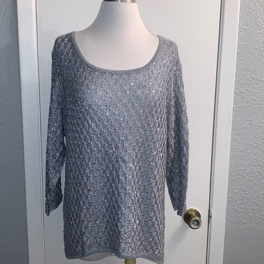 Nicole Alexander Silver Sweater